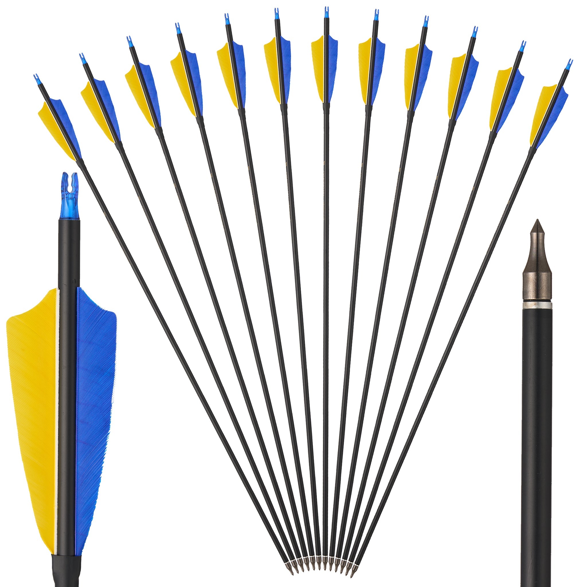 12 Pack 31" Carbon Archery Arrows - Spine 550 With Removable Tips For Recurve & Compound Bows